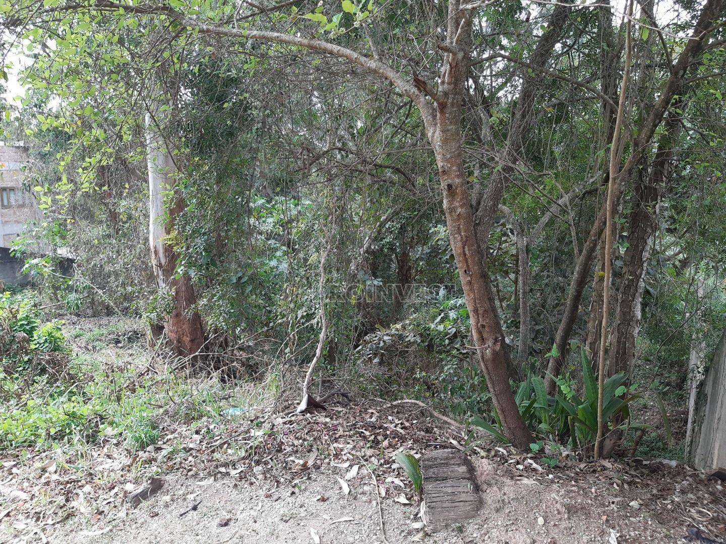 Loteamento e Condomínio à venda, 2085M2 - Foto 4