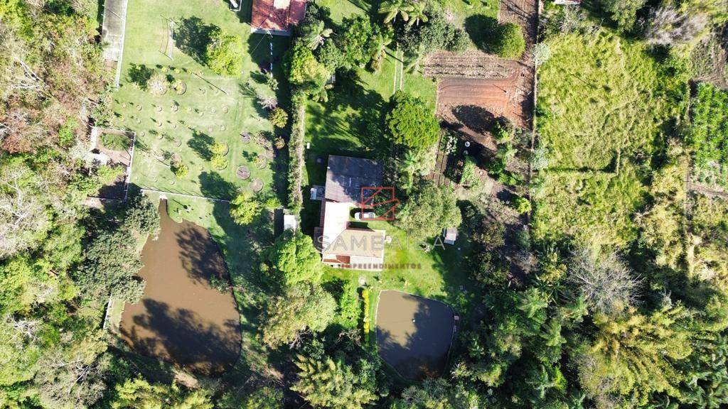 Sítio à venda com 3 quartos, 10000M2 - Foto 4