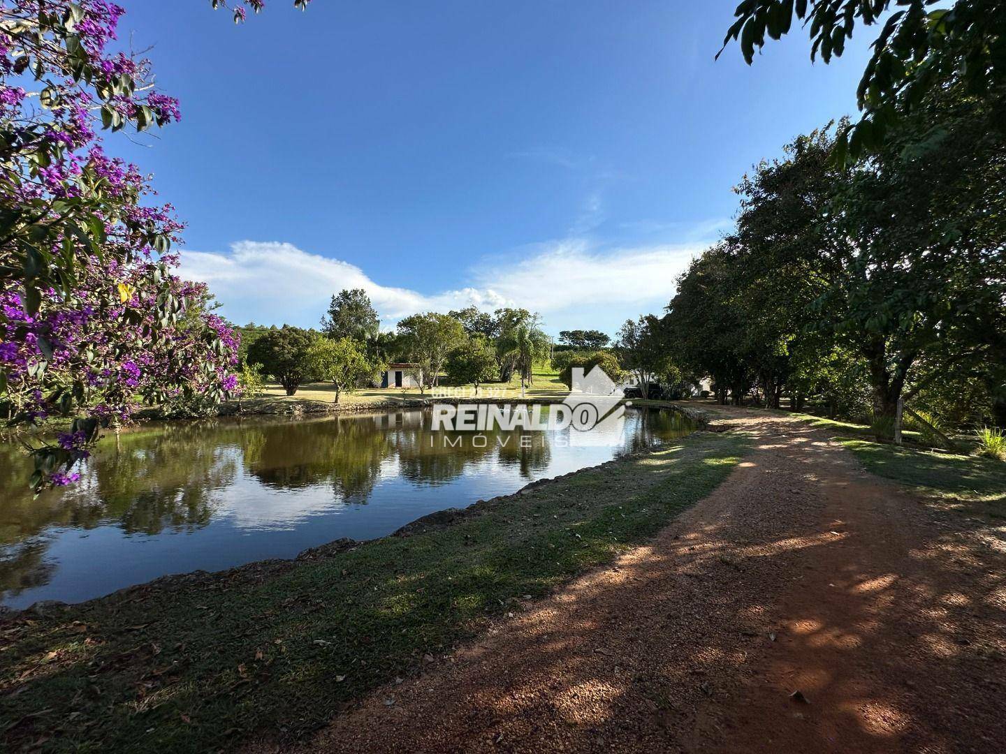 Fazenda à venda com 9 quartos, 5000m² - Foto 83