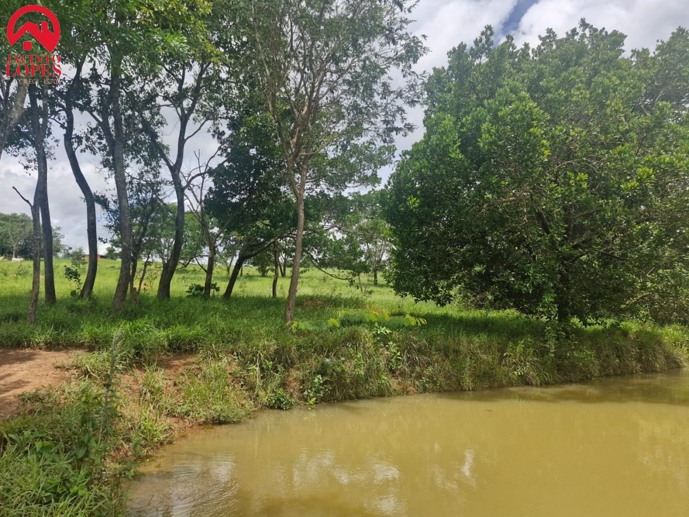 Fazenda à venda com 2 quartos, 120m² - Foto 54