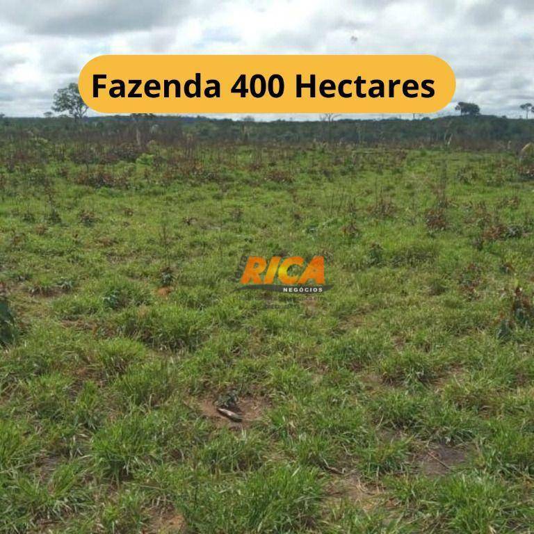 Fazenda-Sítio-Chácara, 400 hectares - Foto 1