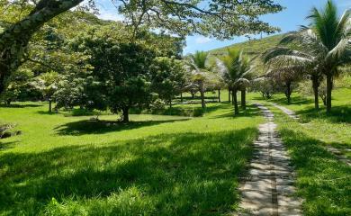 Fazenda à venda com 2 quartos, 145000m² - Foto 2