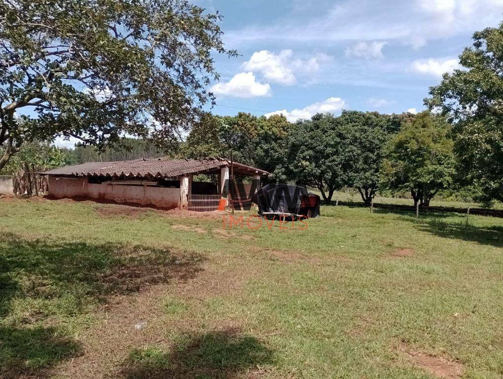 Fazenda à venda com 4 quartos, 820000M2 - Foto 30