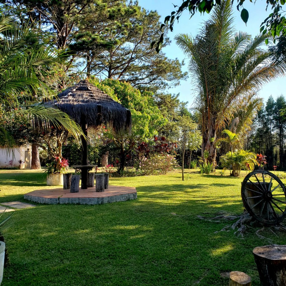 Fazenda à venda com 3 quartos, 24000m² - Foto 11