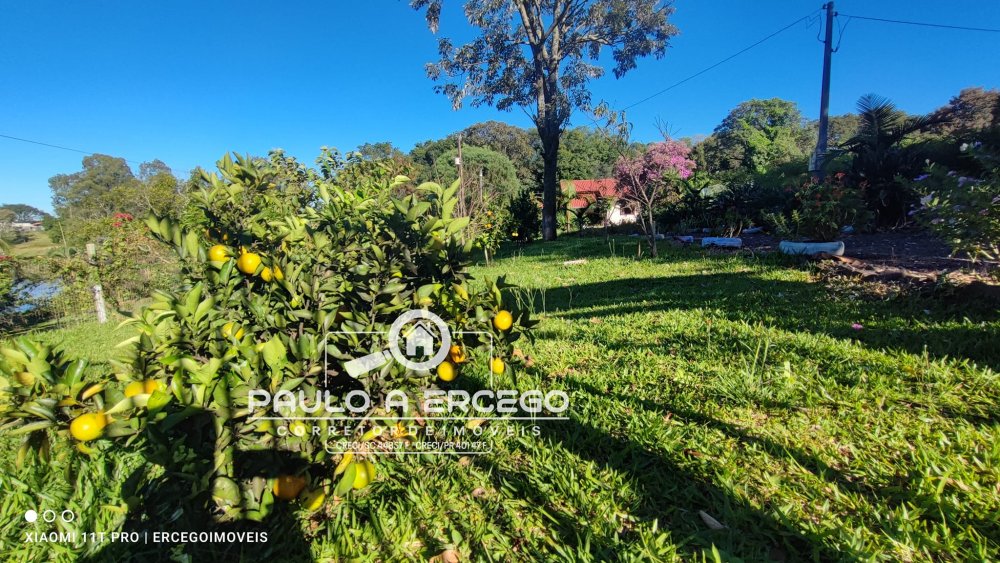 Fazenda à venda com 4 quartos, 6020m² - Foto 24