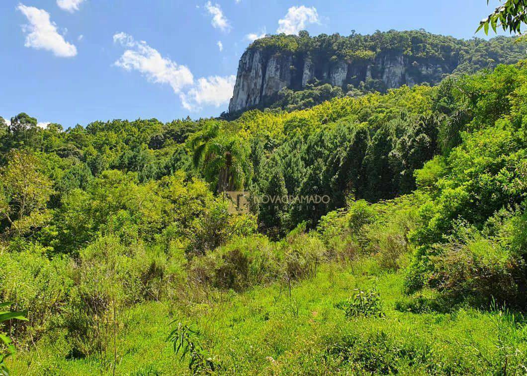 Sítio à venda, 350000M2 - Foto 12