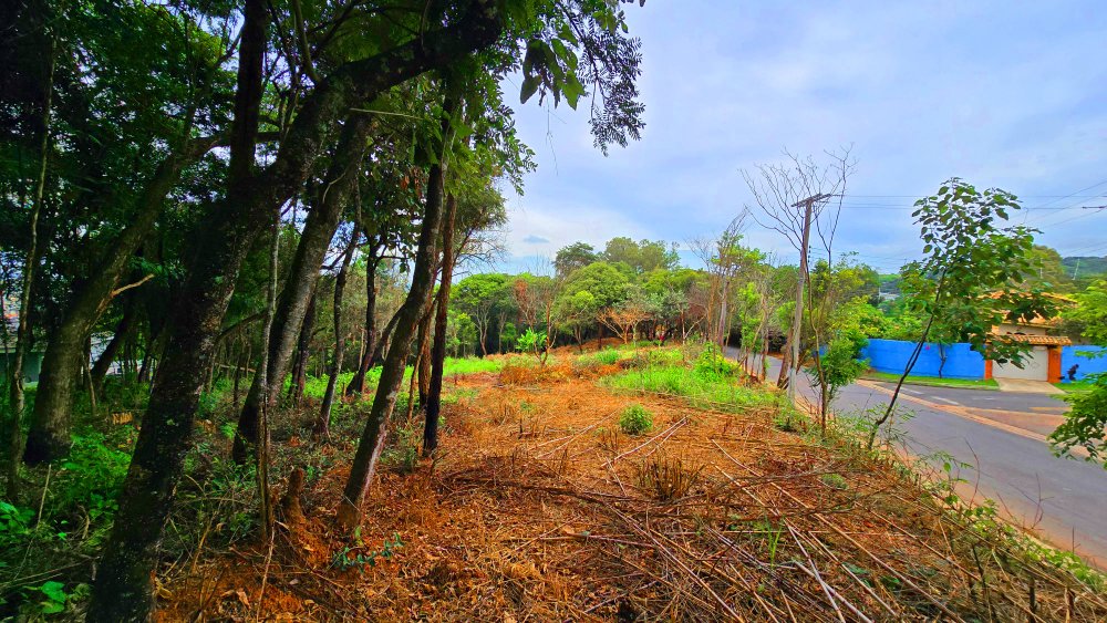 Terreno à venda, 2855m² - Foto 3