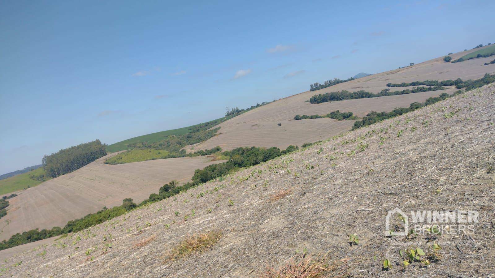 Fazenda à venda com 3 quartos, 3920000M2 - Foto 1