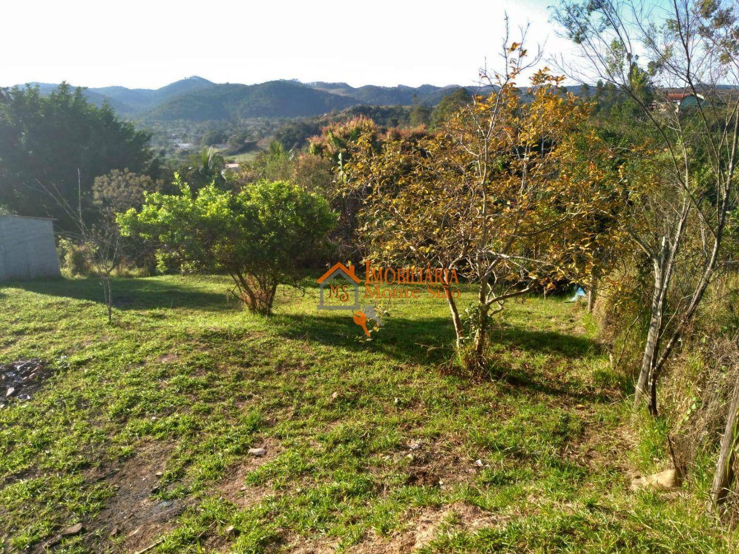 Chácara à venda com 1 quarto, 140M2 - Foto 16