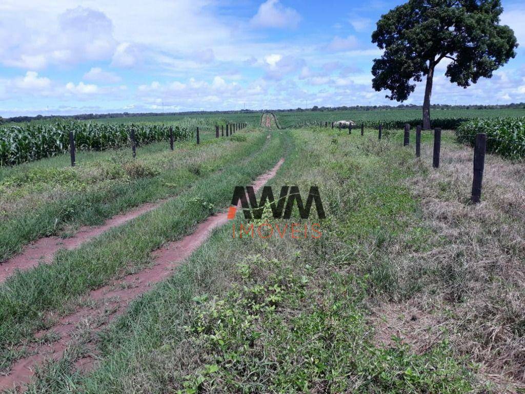 Fazenda à venda, 24248400M2 - Foto 15