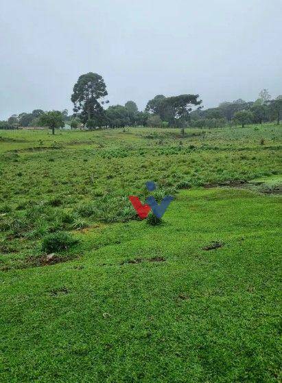 Terreno à venda, 49000M2 - Foto 5