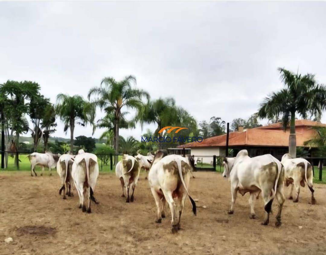 Fazenda à venda, 10841600M2 - Foto 2