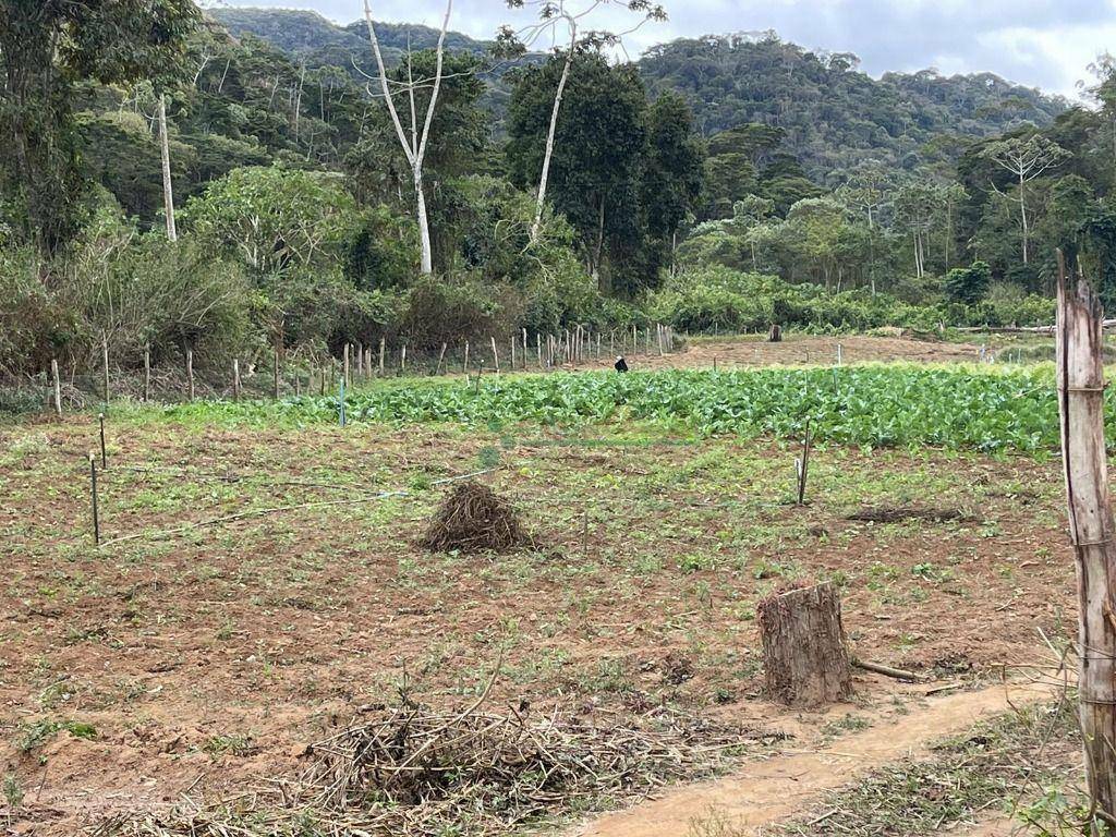 Terreno à venda, 2335M2 - Foto 11