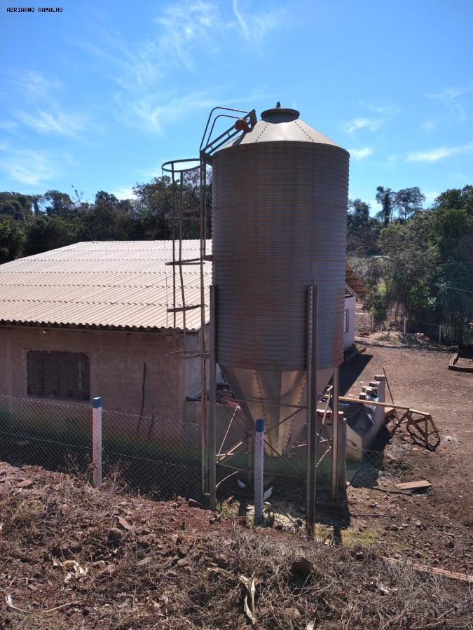 Fazenda para alugar com 3 quartos, 20000m² - Foto 39