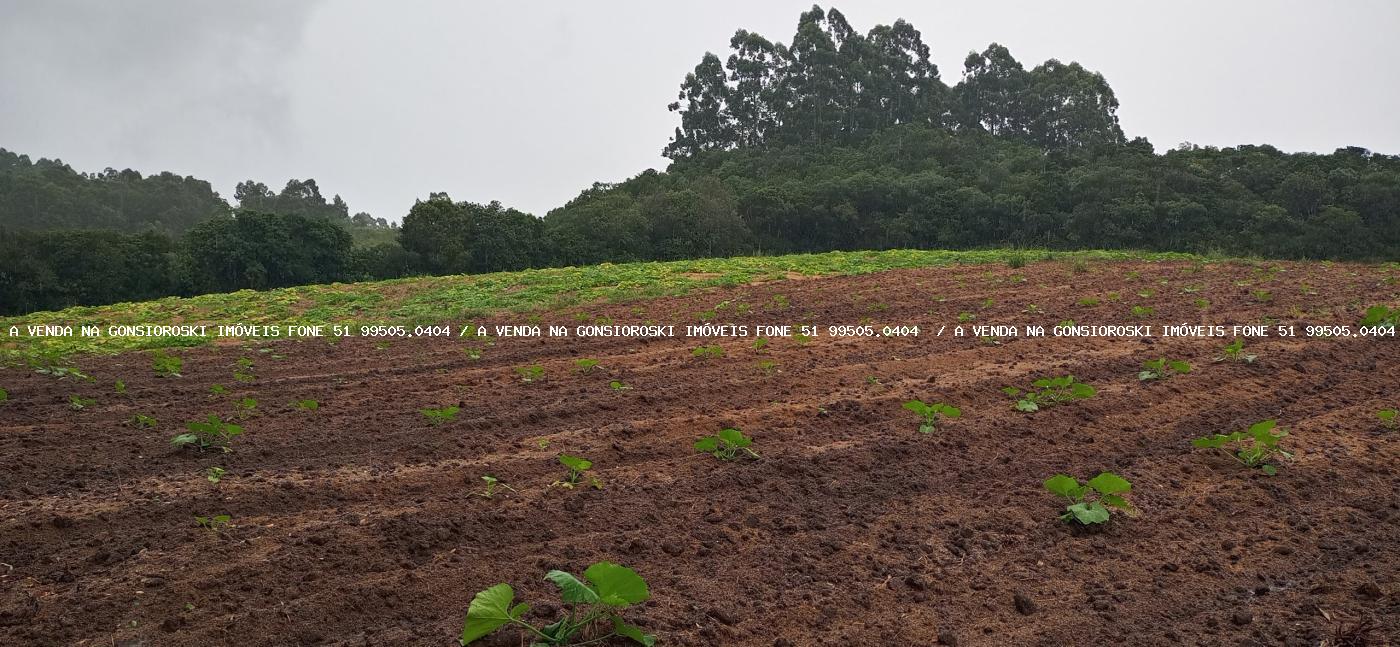 Loteamento e Condomínio à venda, 48000m² - Foto 5