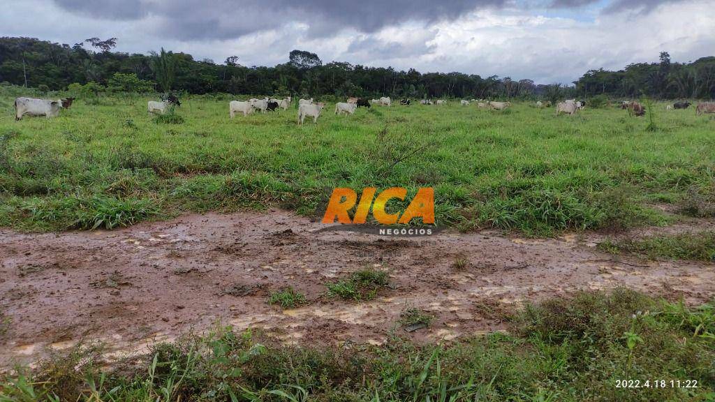 Fazenda à venda, 1000000M2 - Foto 22