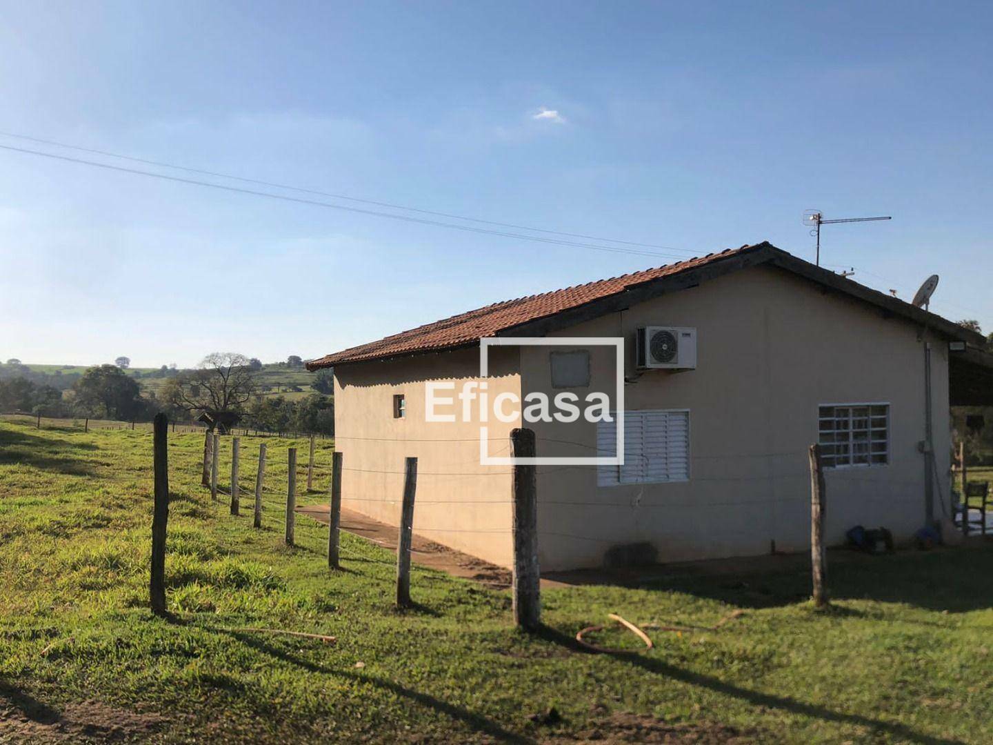 Sítio à venda com 3 quartos, 350m² - Foto 6