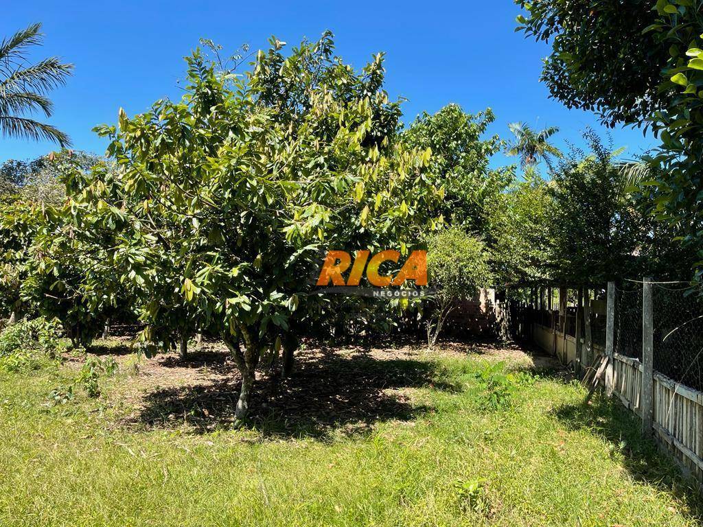 Chácara, 3 quartos, 2 hectares - Foto 22