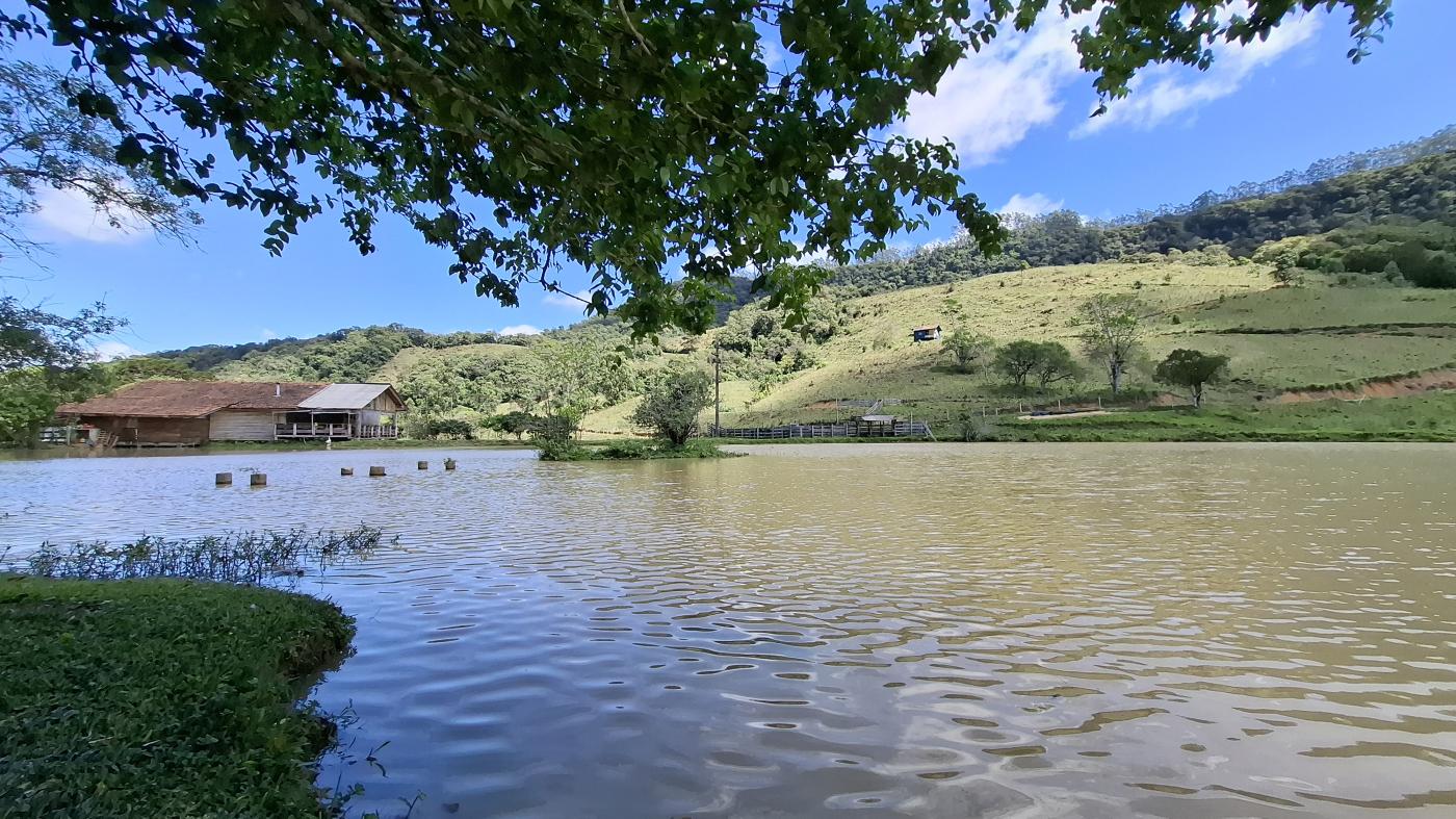 Fazenda à venda com 4 quartos, 950000m² - Foto 39