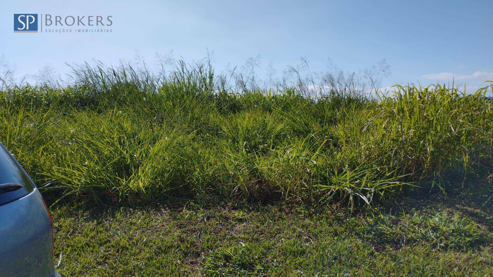 Terreno, 250 m² - Foto 3