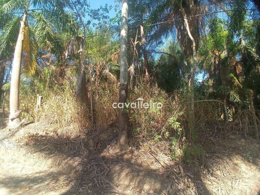 Terreno à venda, 2000M2 - Foto 5