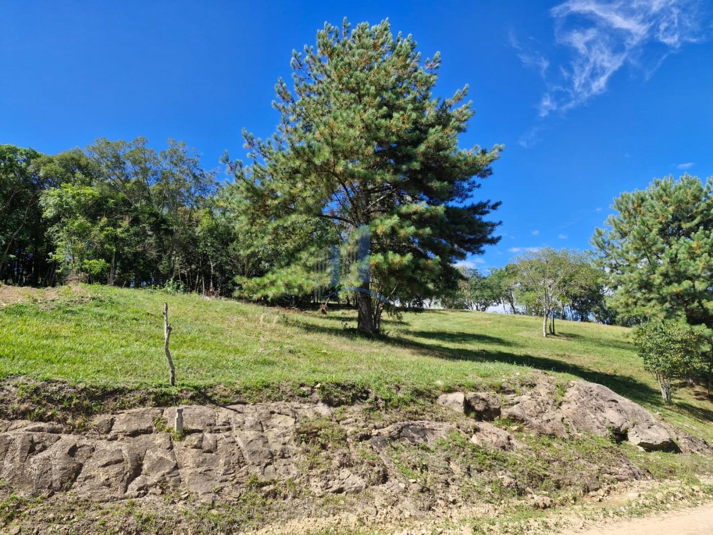 Terreno à venda, 1000m² - Foto 1