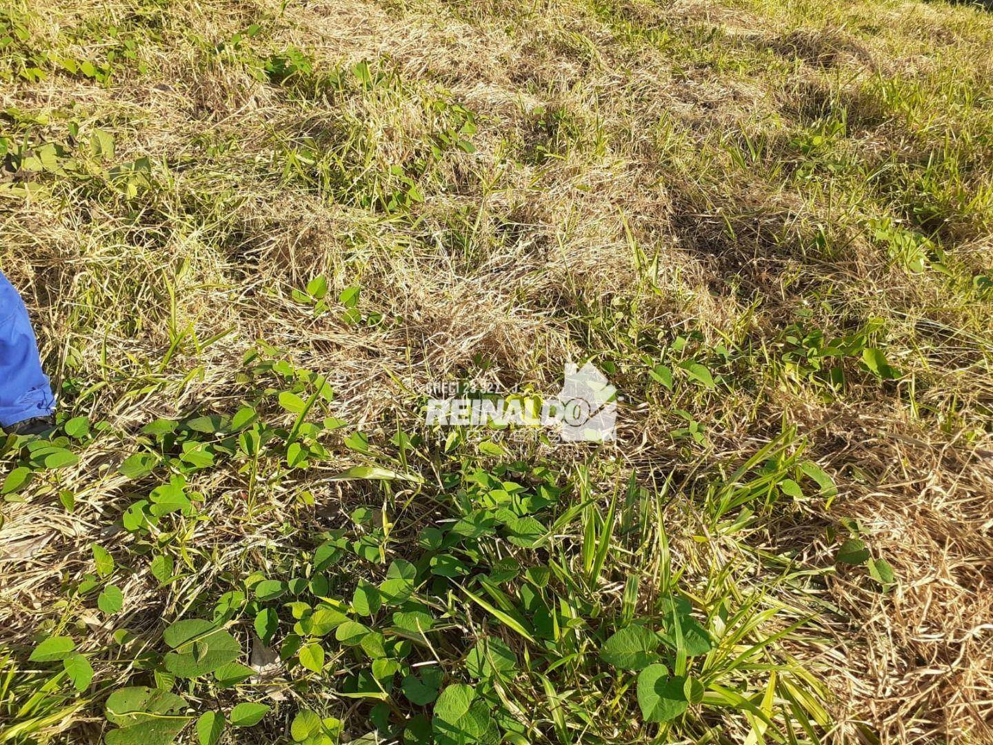 Loteamento e Condomínio à venda, 504M2 - Foto 2