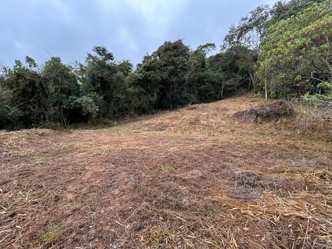 Terreno à venda, 178000m² - Foto 28