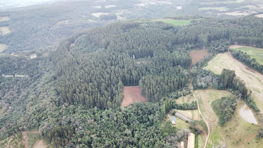 Loteamento e Condomínio, 35 hectares - Foto 9