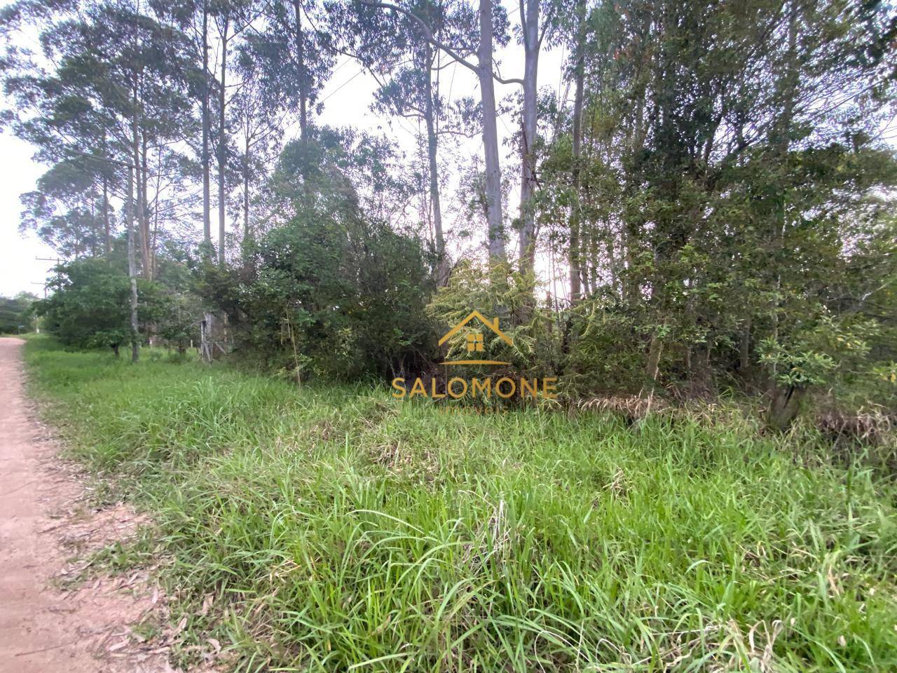 Terreno, 1300 m² - Foto 3