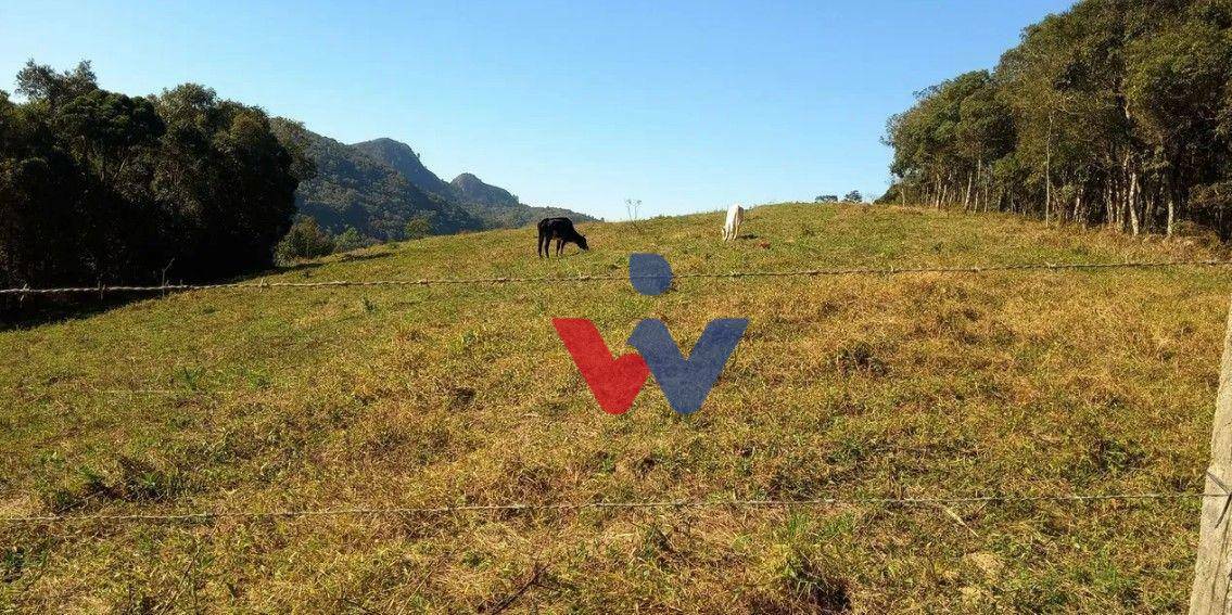 Terreno à venda, 23700M2 - Foto 2