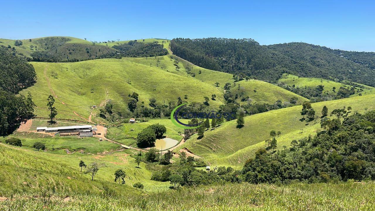Fazenda à venda com 3 quartos, 3388000M2 - Foto 9