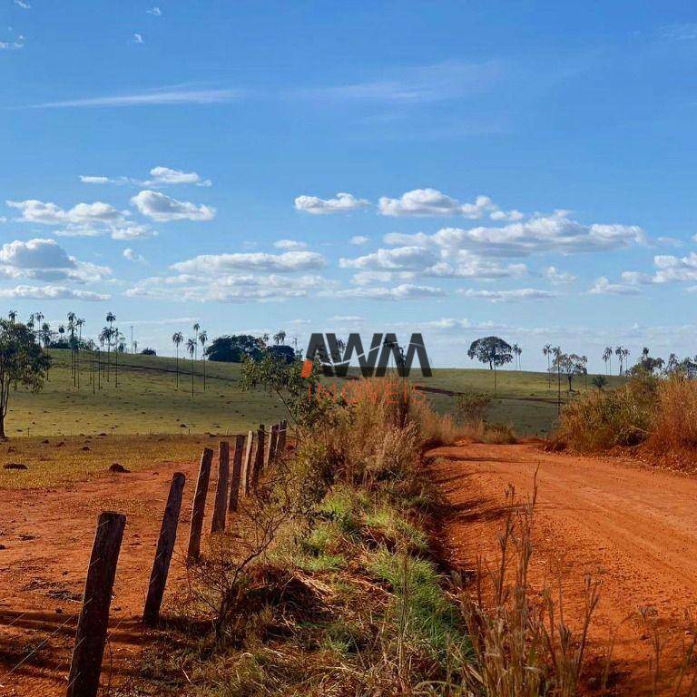 Fazenda à venda, 12100000M2 - Foto 13