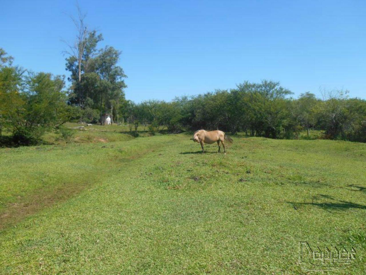 Chácara à venda - Foto 14