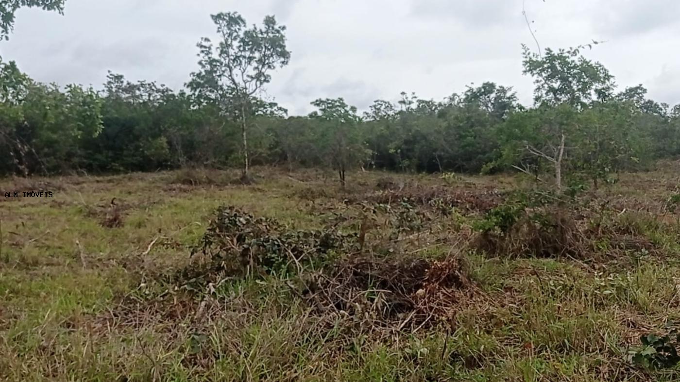 Fazenda à venda, 26000m² - Foto 19