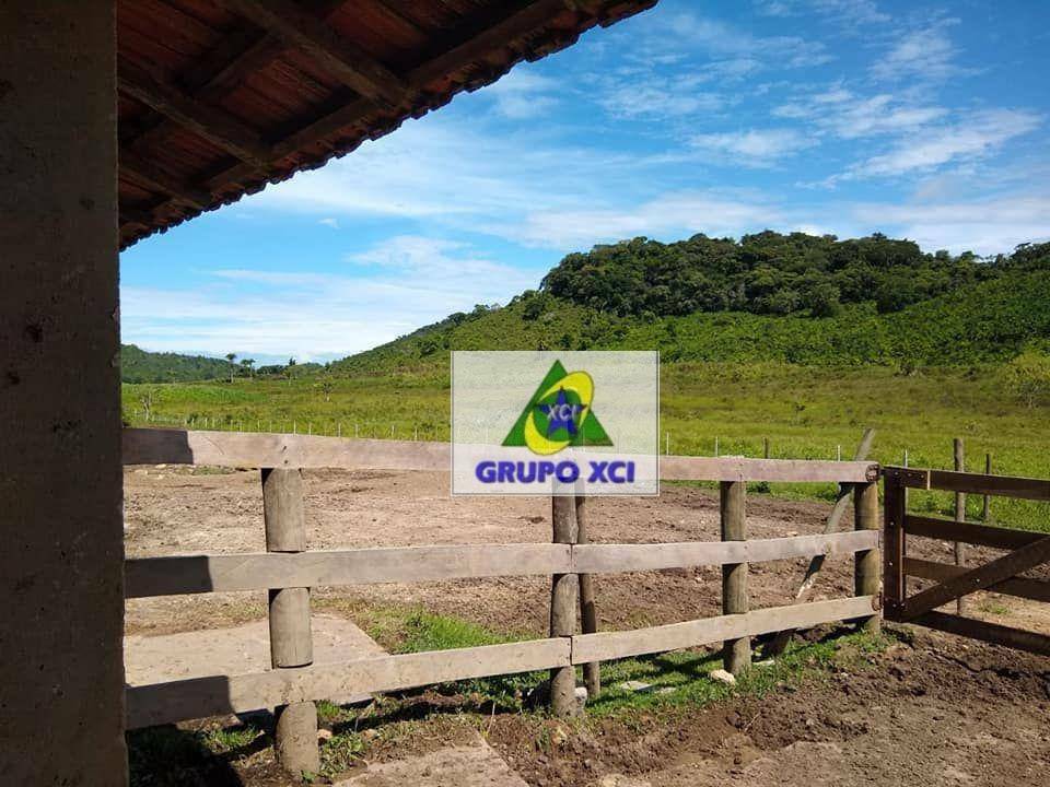 Fazenda à venda, 9413800M2 - Foto 29