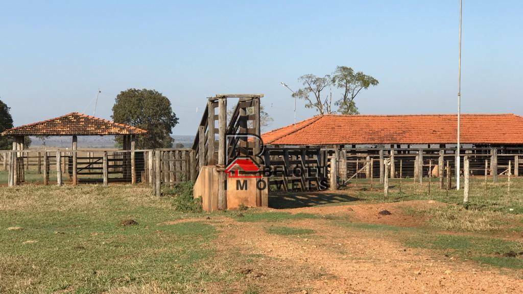 Fazenda-Sítio-Chácara, 2197 hectares - Foto 4