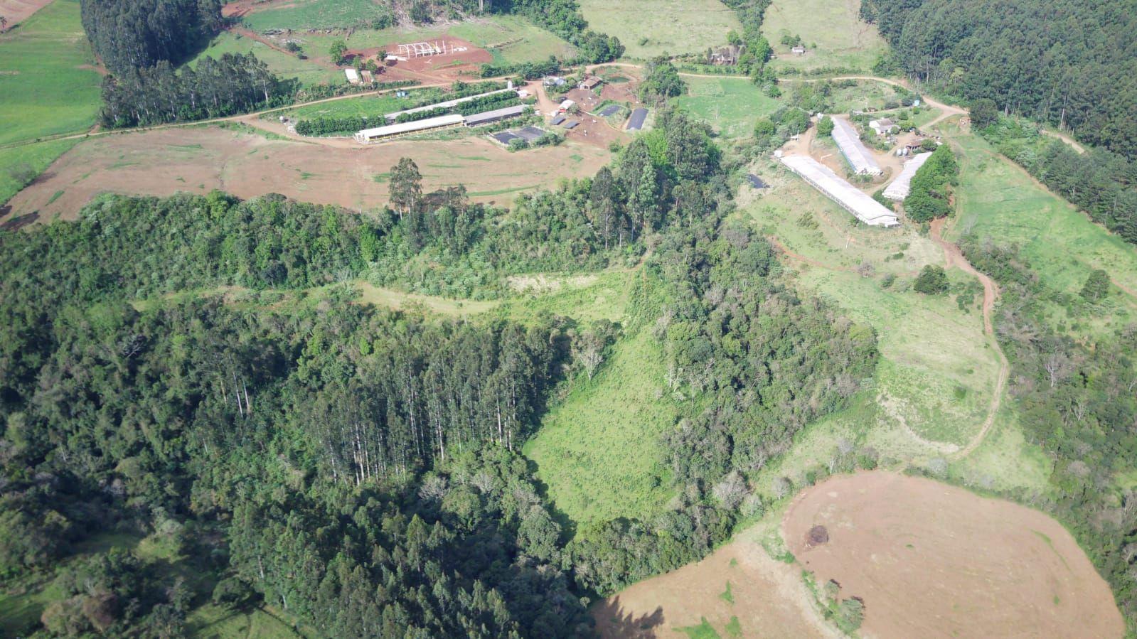 Fazenda à venda, 160000m² - Foto 10