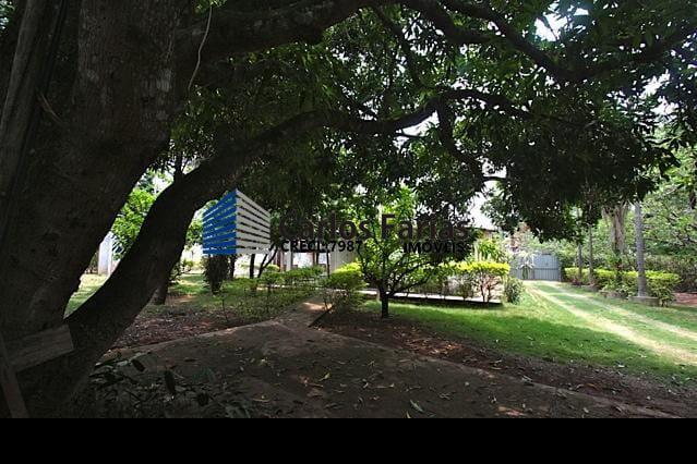 Terreno à venda com 3 quartos, 300m² - Foto 3