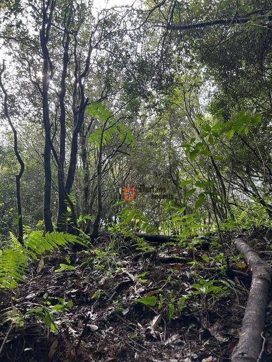 Terreno à venda, 20000M2 - Foto 7