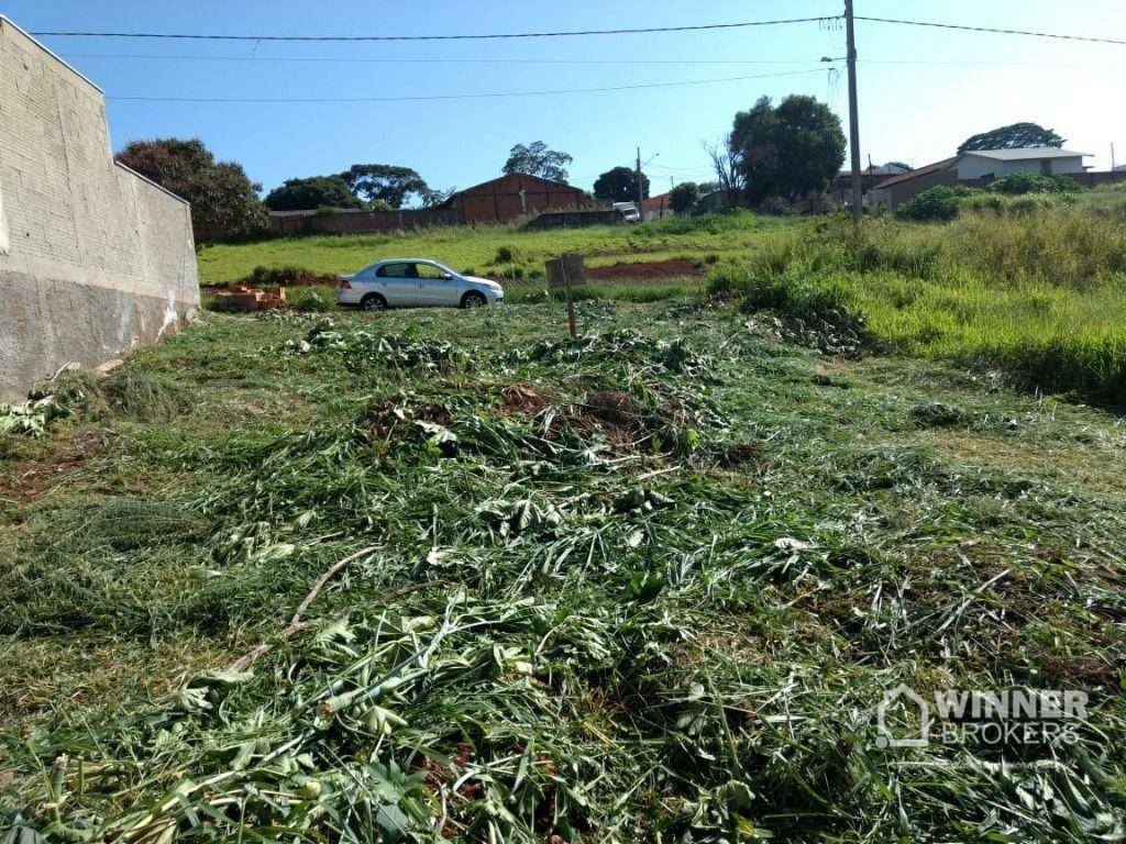 Terreno à venda, 258M2 - Foto 5