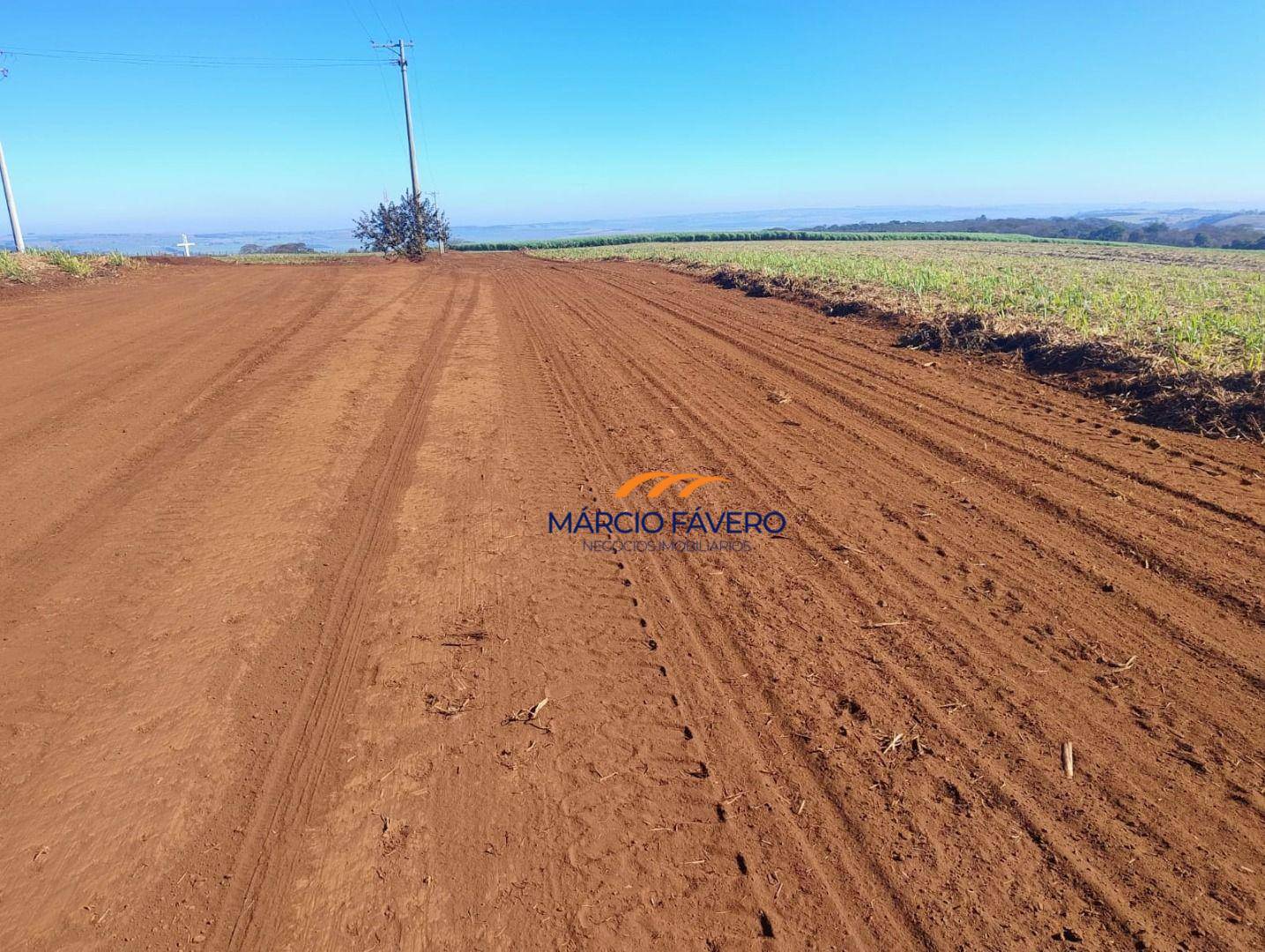 Fazenda-Sítio-Chácara, 298 hectares - Foto 34