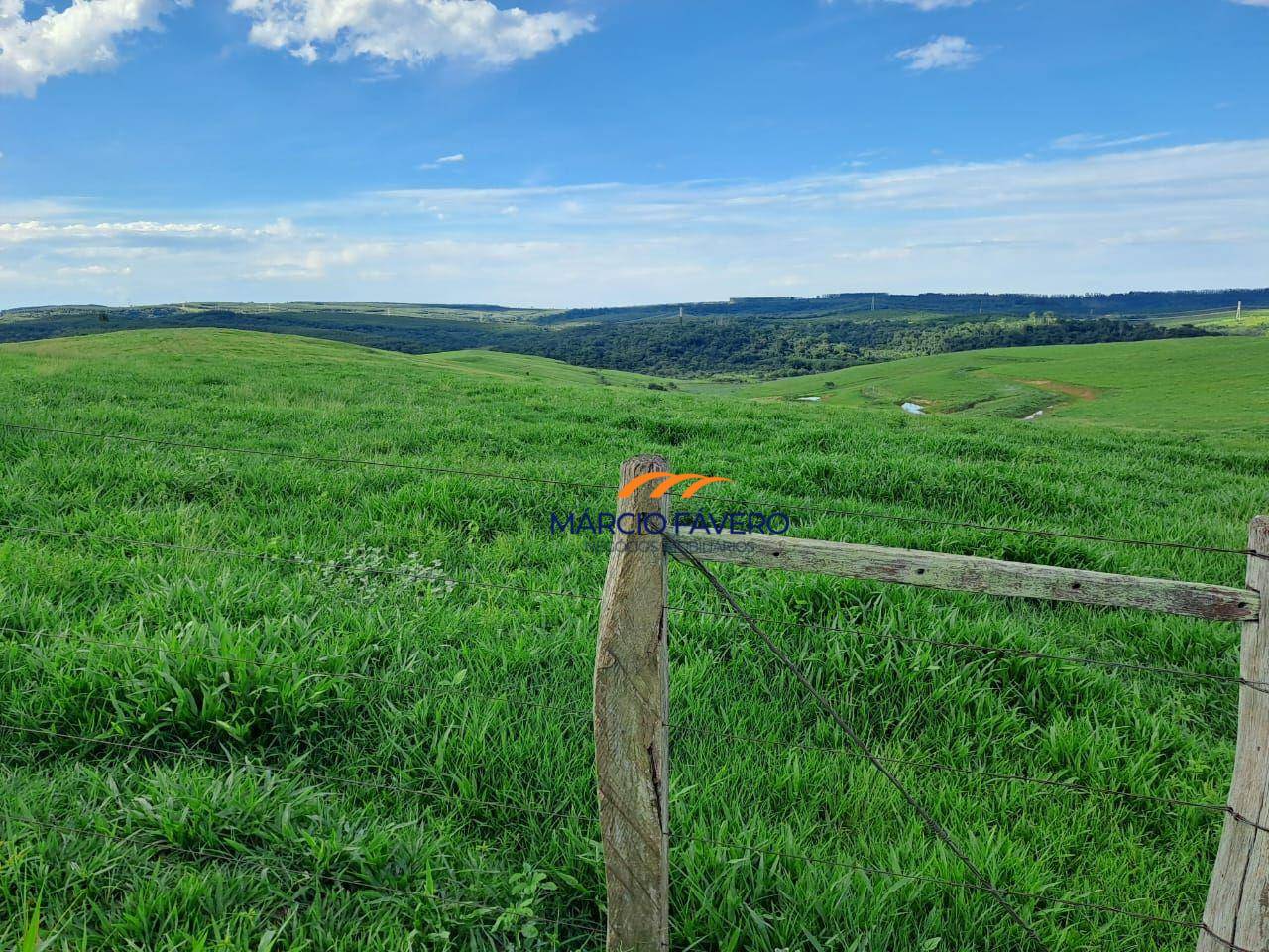 Fazenda, 571 hectares - Foto 3