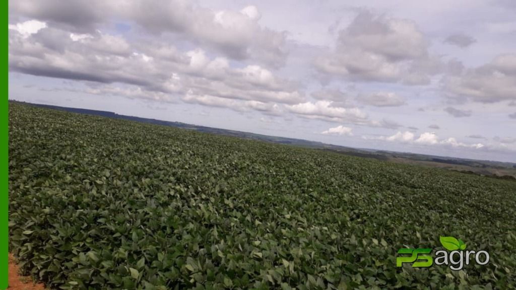 Fazenda à venda, 1376590000M2 - Foto 8