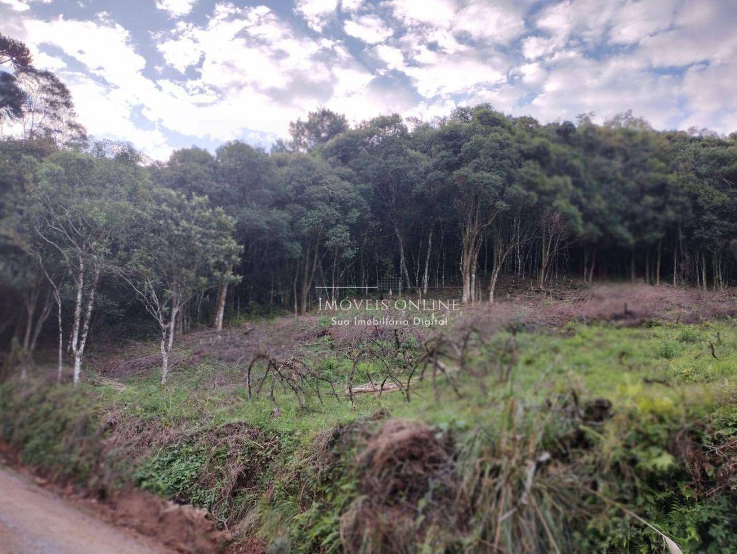 Chácara, 2 hectares - Foto 5