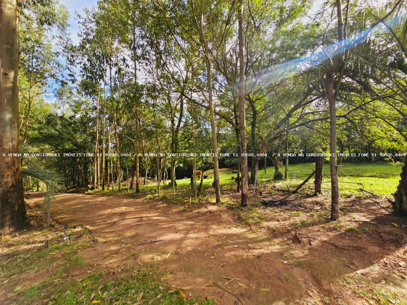Sítio à venda, 30000m² - Foto 28