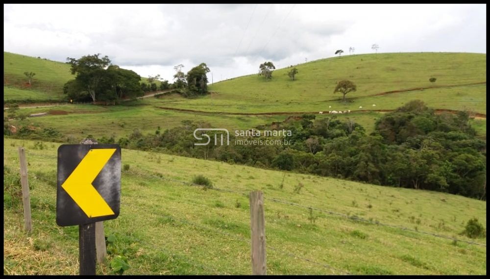 Fazenda-Sítio-Chácara, 157 hectares - Foto 1