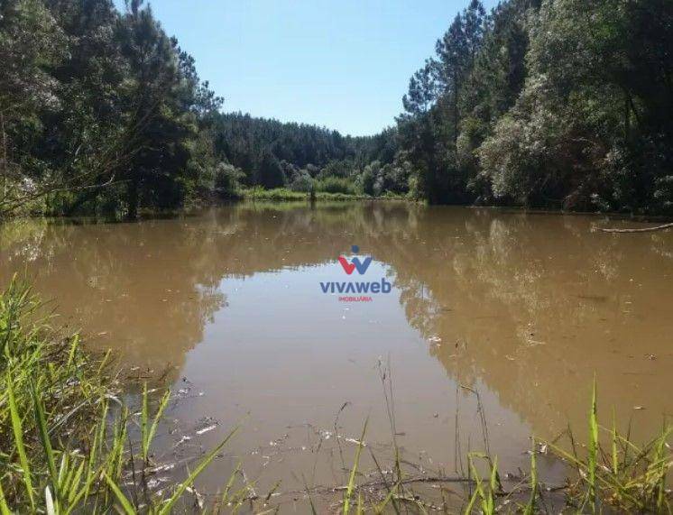 Fazenda à venda com 3 quartos, 1116000M2 - Foto 13