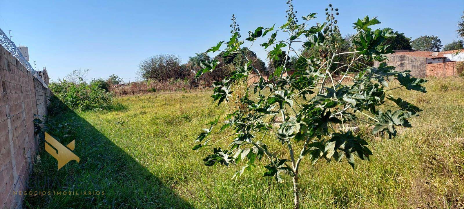 Terreno à venda, 5000M2 - Foto 5