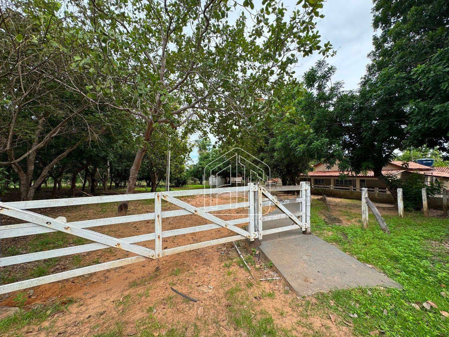 Fazenda à venda com 3 quartos, 26600000M2 - Foto 10